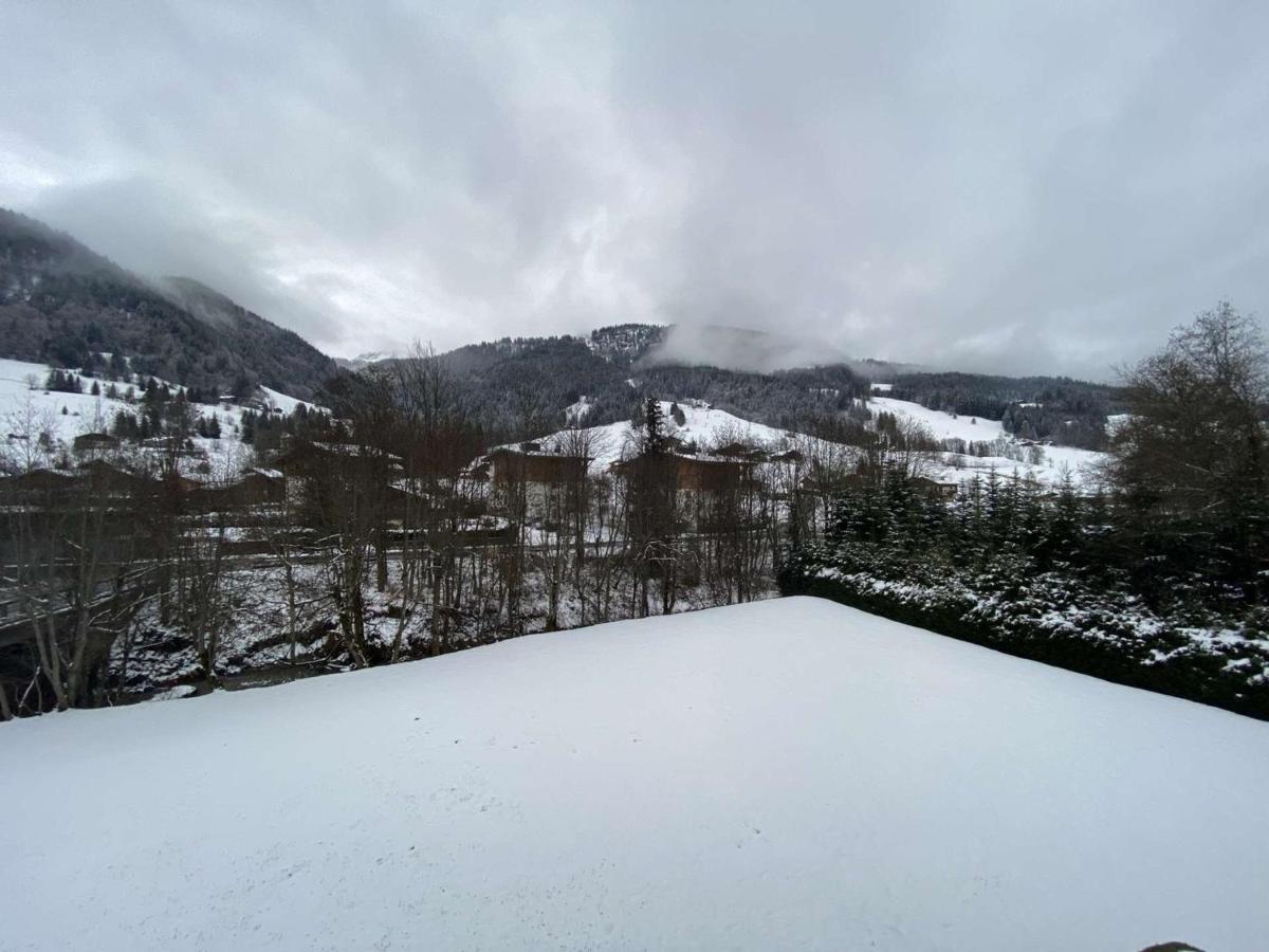 Studio Cabine A Praz-Sur-Arly - 4 Pers, Parking, Proche Centre Et Pistes - Fr-1-603-32 外观 照片