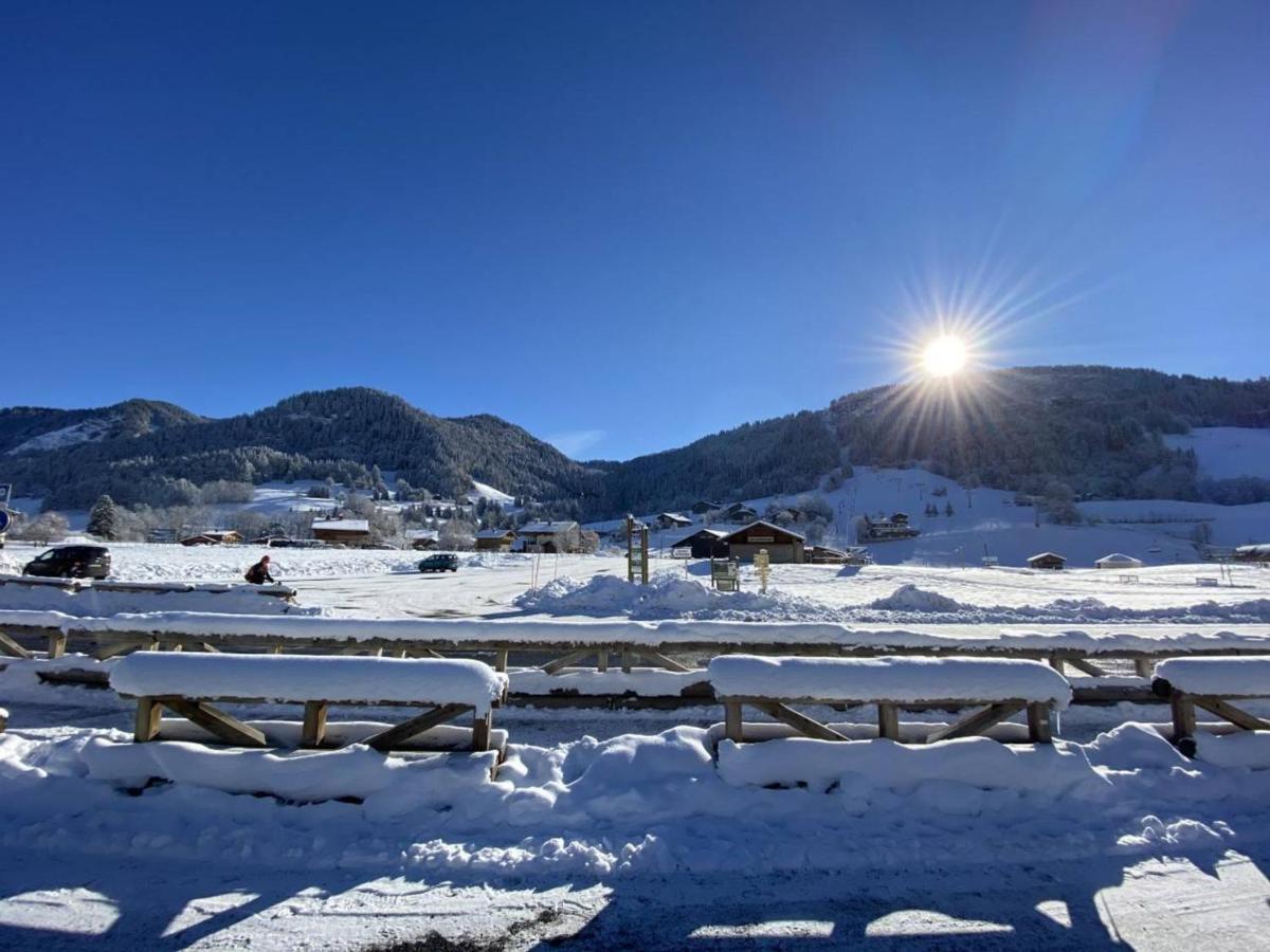 Studio Cabine A Praz-Sur-Arly - 4 Pers, Parking, Proche Centre Et Pistes - Fr-1-603-32 外观 照片